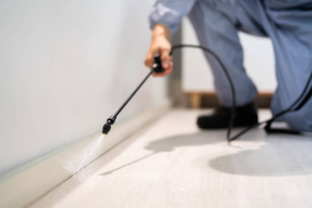 Professional exterminator conducting IPM assessment in Kearny